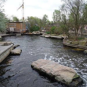 Californian sea lion enclosure