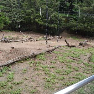 Schaefer Plaza - Black-tailed Prairie Dog Exhibit