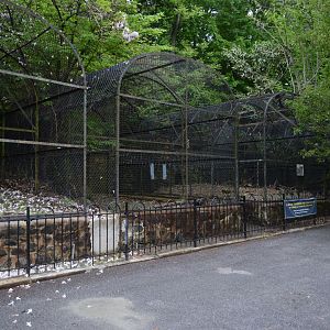 Historic Main Valley - Old Cages