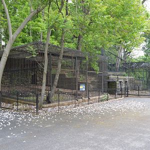 Historic Main Valley - Old Animal Cages