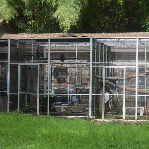 Historic Main Valley - Raven and Bird-of-Prey Exhibits