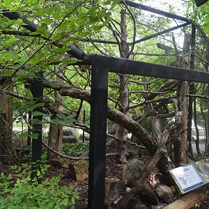 Northern Passage - North American Porcupine Exhibit