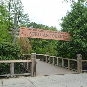 African Journey - Entrance
