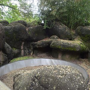 African Journey - Former Cape Porcupine Exhibit