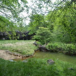 African Journey - Lesser Kudu and Addra Gazelle Exhibit