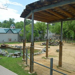 African Journey - African Bush Elephant Exhibit
