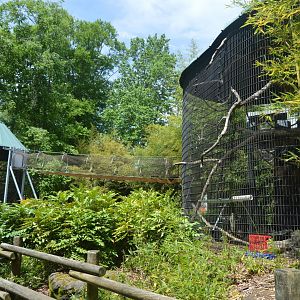 African Journey - Primate Exhibits