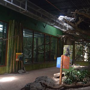 Chimpanzee Forest - Indoor Primate Habitats