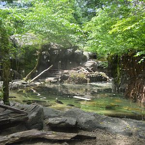 Maryland Wilderness - North American River Otter Exhibit