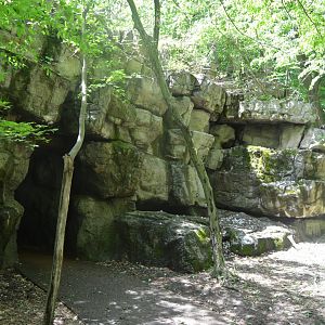 Maryland Wilderness - Entrance to the Cave exhibits