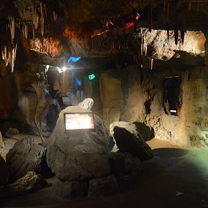 Maryland Wilderness - Cave Interior