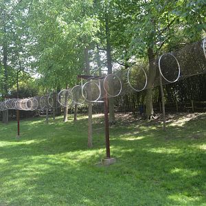 African Journey - Primate Trail