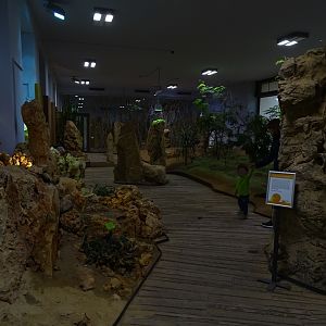 Desert House interior