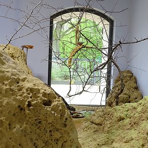 Desert House interior