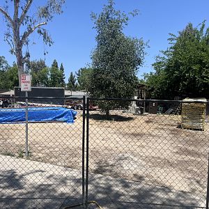 Petting Zoo/sloth exhibit construction