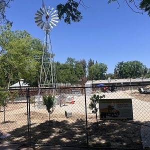 Petting zoo/sloth exhibit construction
