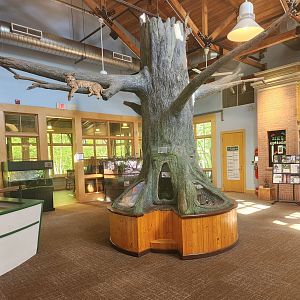CanalWay Center - Exhibit room