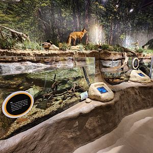 Watershed Stewardship Center - Watershed exhibit