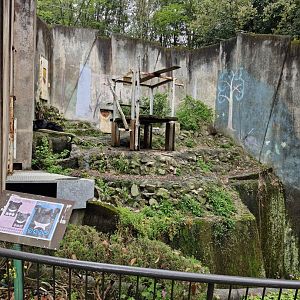 Japanese black bear enclosure