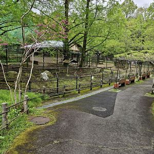 Wild boar and blackbuck enclosures