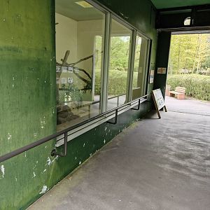 Red panda indoor viewing area