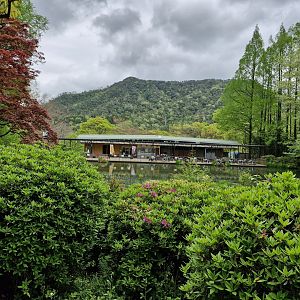 View of the mountains
