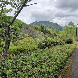View of the mountains