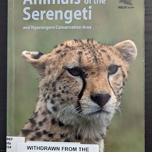 Animals of the Serengeti and Ngorongoro Conservation Area