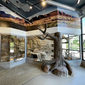 Indoor Burrowing Owl and Desert Tortoise Habitat