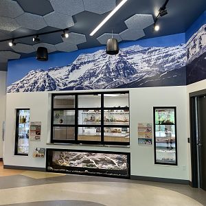 Norma W. Matheson Education Animal Center - Wild Utah