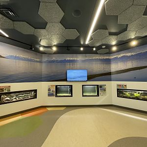 Great Salt Lake Terrariums