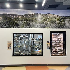 Norma W. Matheson Education Animal Center - Wild Utah