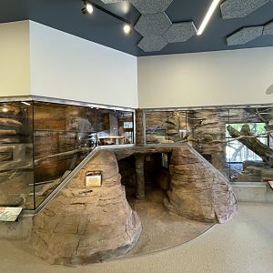 Norma W. Matheson Education Animal Center - Wild Utah