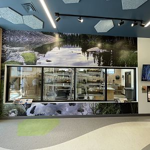 Utah Amphibian Conservation Room