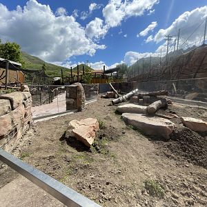 American Badger Habitat