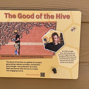 Wild Utah Muralist - Matt Willey