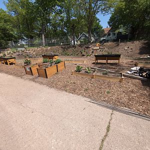 2024-05-15-New-Butterfly Garden