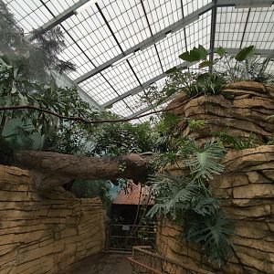 2024-05-15-vilas-aviary-flight-room-01