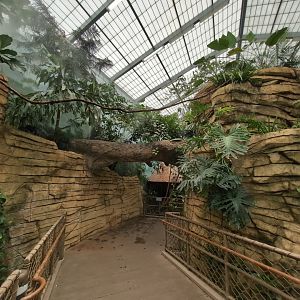 2024-05-15-vilas-aviary-flight-room-02