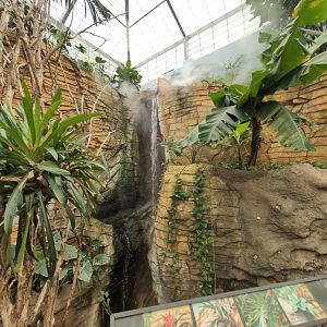 2024-05-15-vilas-aviary-flight-room-03