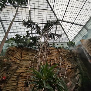 2024-05-15-vilas-aviary-flight-room-05