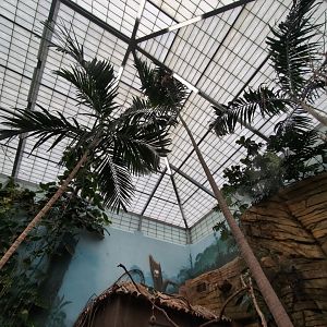 2024-05-15-vilas-aviary-flight-room-06