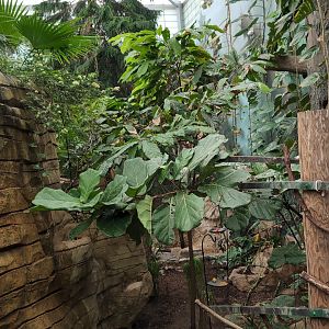 2024-05-15-vilas-aviary-flight-room-07