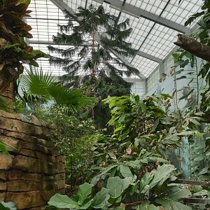 2024-05-15-vilas-aviary-flight-room-08