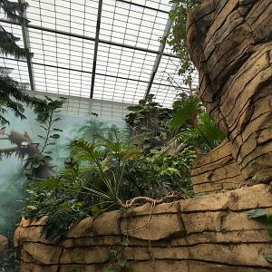 2024-05-15-vilas-aviary-flight-room-09