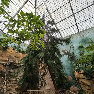 2024-05-15-vilas-aviary-flight-room-10