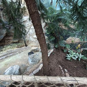 2024-05-15-vilas-aviary-flight-room-12