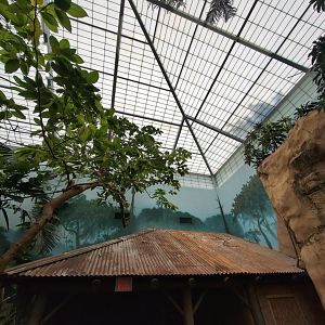 2024-05-15-vilas-aviary-flight-room-13