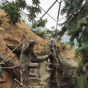 2024-05-15-vilas-aviary-flight-room-14