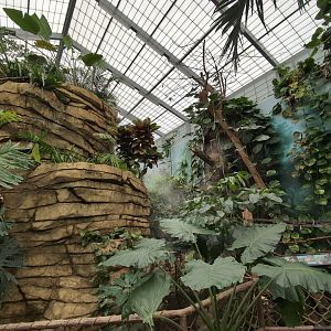 2024-05-15-vilas-aviary-flight-room-16